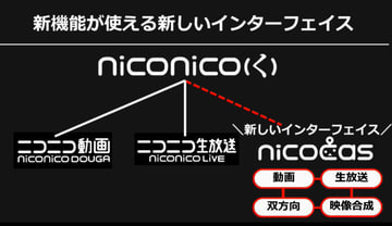 nico07_s.jpg