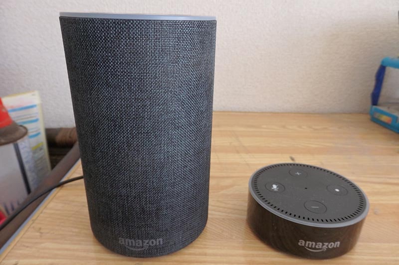 我が家に導入した、Echo(左)とEcho Dot(右)