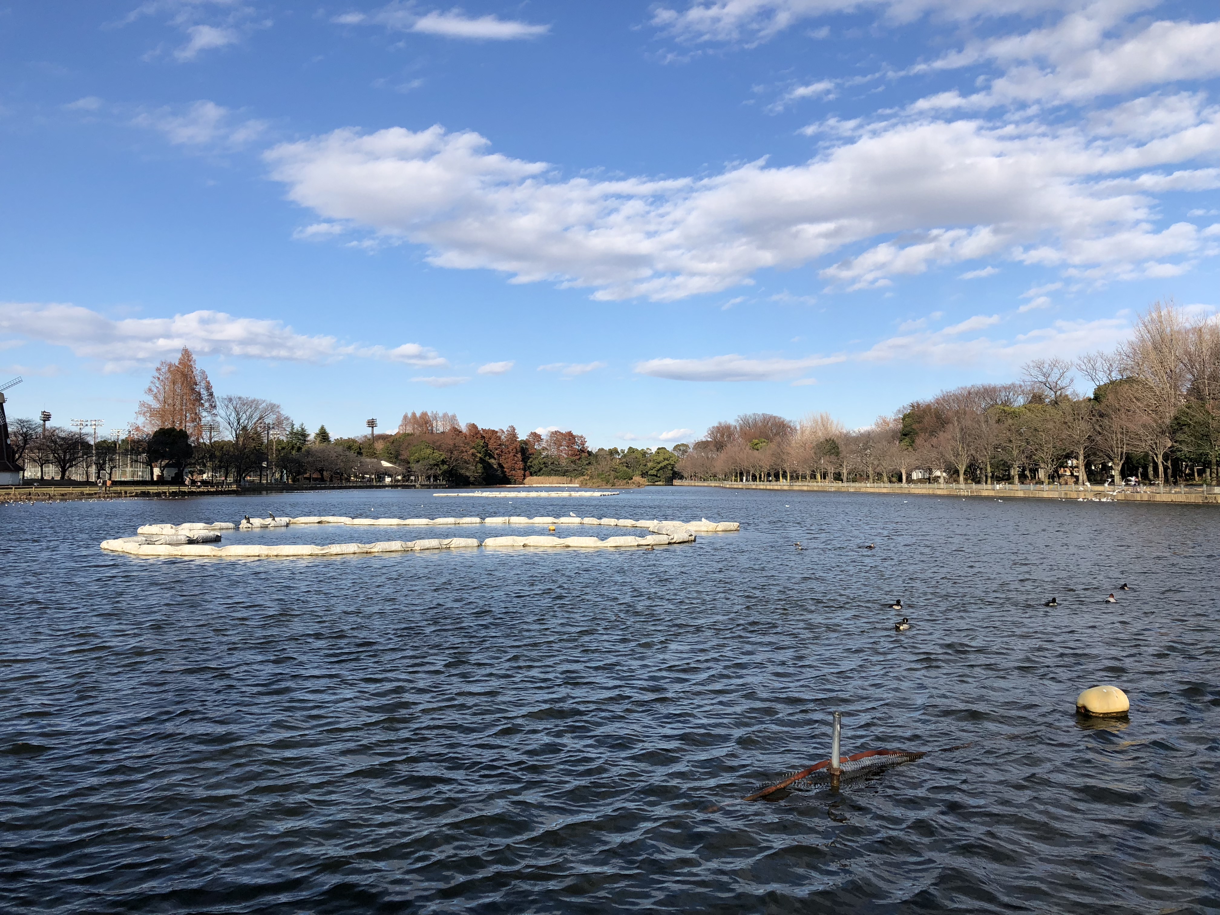 iPhone 8 Plus<br>静止画:Wide