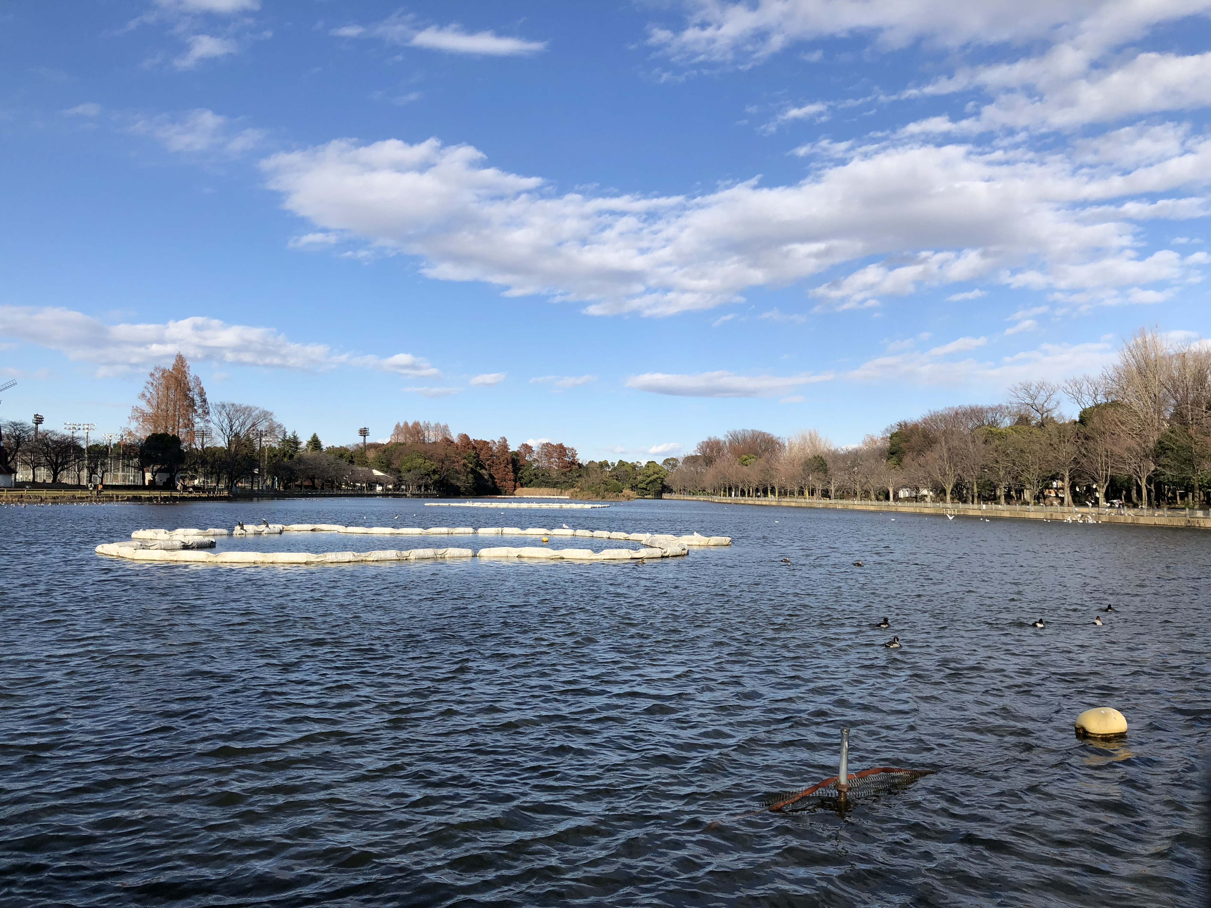 iPhone X<br>静止画:Wide