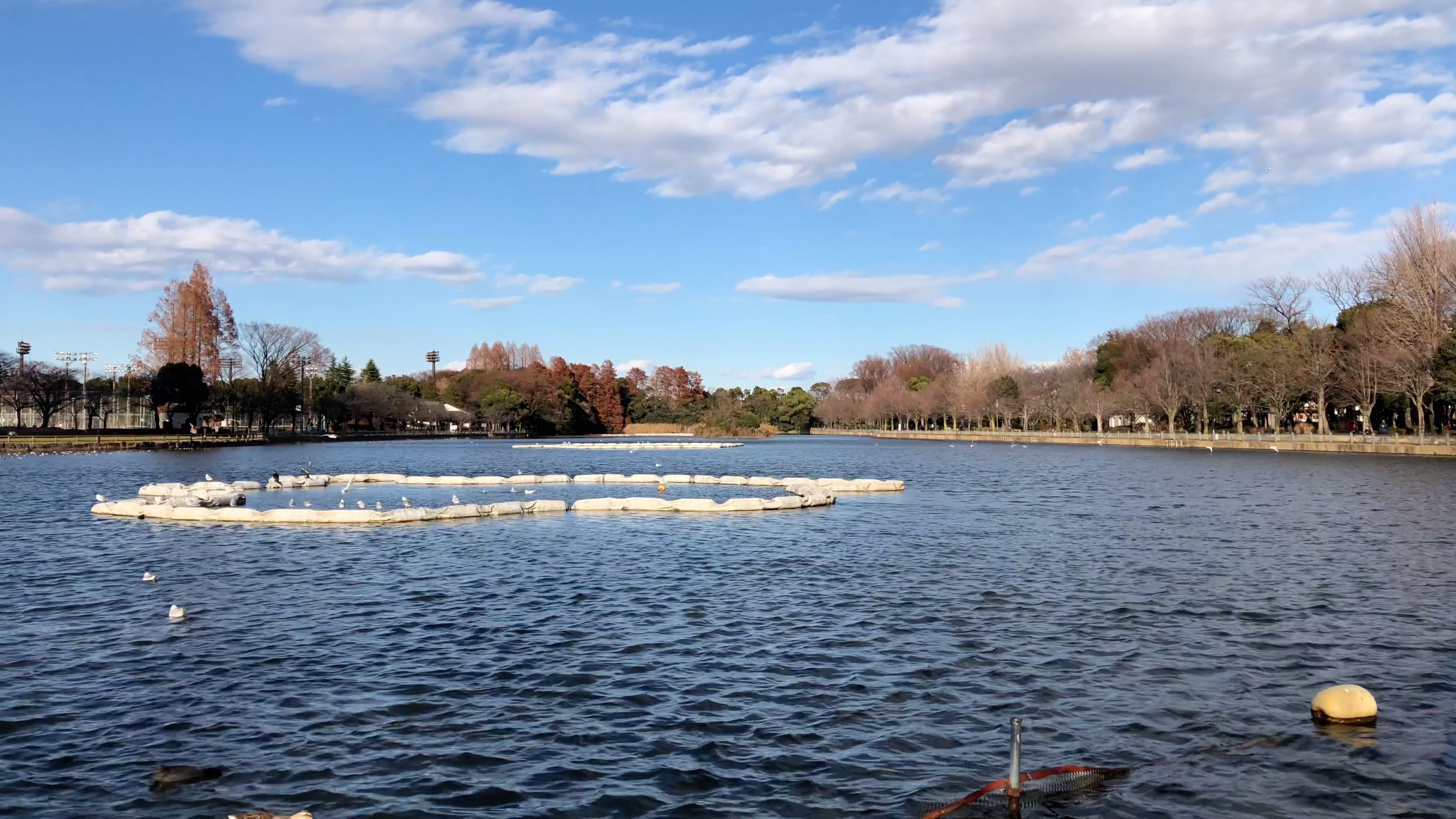 iPhone 8 Plus<br>動画:Wide