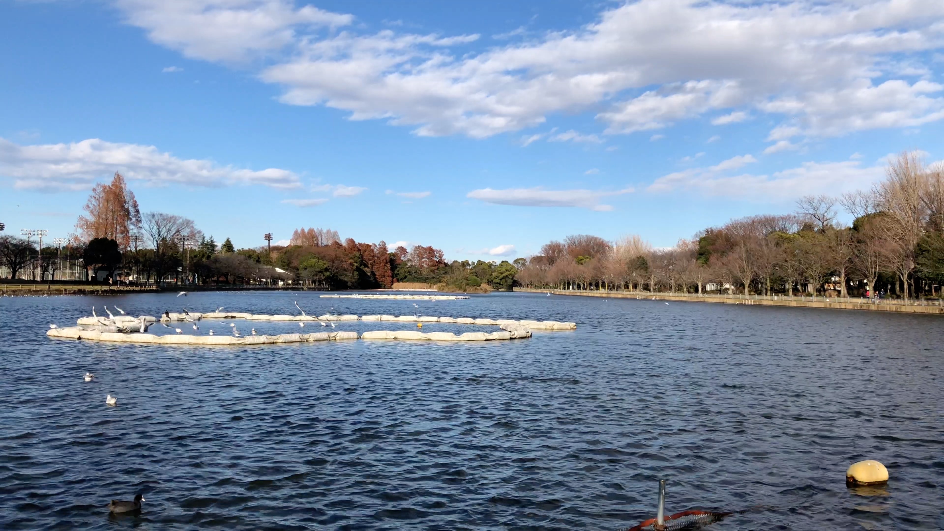 iPhone X<br>動画:Wide