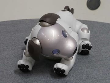 aiboついに誕生(発売)。オーナーに引き渡し、「のびのび育って