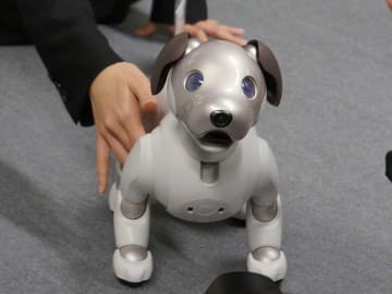 AIBO 三代目 2910.png