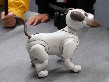 aiboついに誕生(発売)。オーナーに引き渡し、「のびのび育って