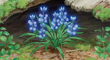 新品　メアリと魔女の花 コレクターズ・エディション:4K UltraHD+ブルー Amazon.co.jp: メアリと魔女の花 コレクターズ・エディション:4K Ultra