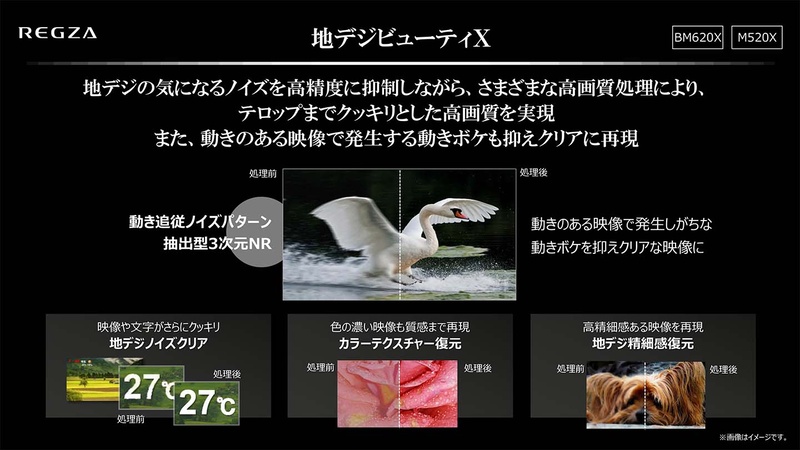 地デジビューティーX
