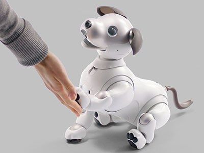 aibo