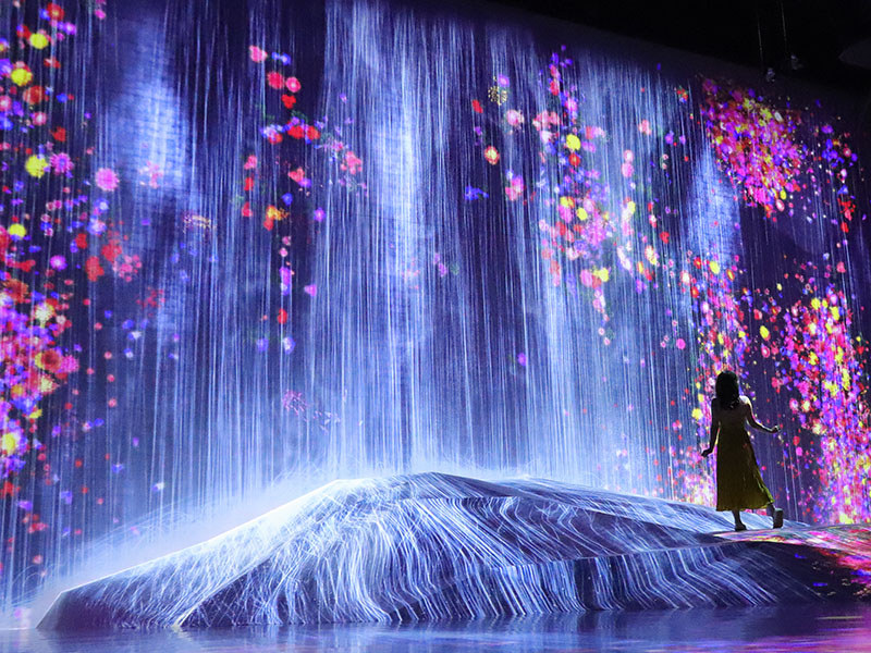 MORI Building DIGITAL ART MUSEUM: EPSON teamLab Borderlessのメイン展示