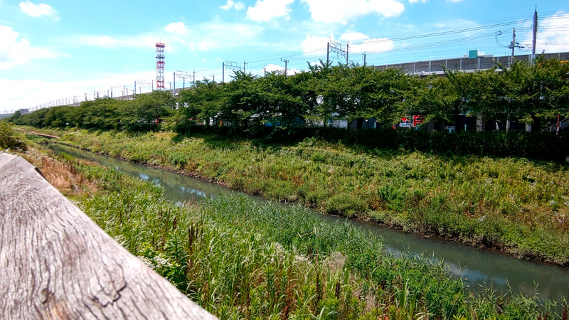 レンズ補正あり