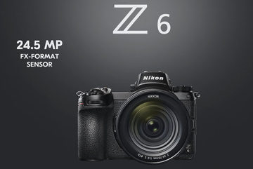 Nikon - ショット数2557回!! ダブルレンズセット Nikon D70s #6451 ニコン Nikon D70s 標準&超望遠300mm ダブルズームセット 美品