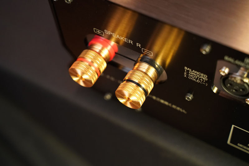 大型スピーカーターミナルを採用