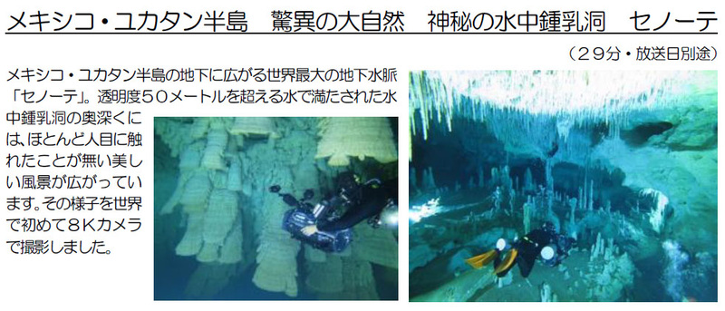 「神秘の水中鍾乳洞 セノーテ」