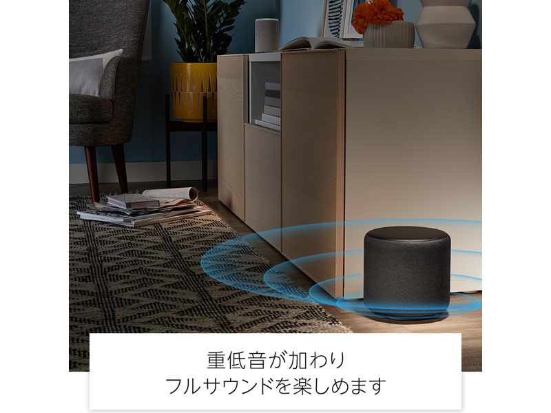 「Echo Sub」使用イメージ