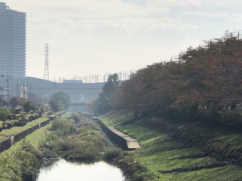 5倍ズーム 8 Plus