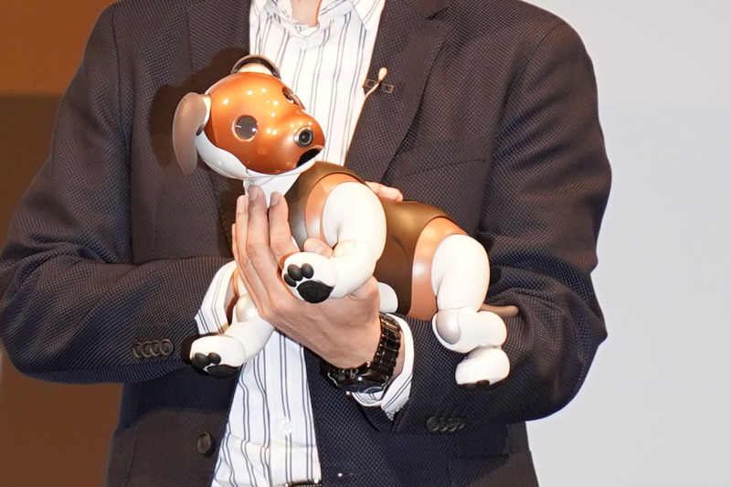 aibo チョコ エディション。カラー名は「チョコレート・トライカラー」。2月14日までに予約注文すると、特別色のつけかえ用「しっぽ(黒)」がもれなくプレゼントされる