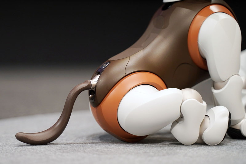 aibo チョコ エディション。カラー名は「チョコレート・トライカラー」。2月14日までに予約注文すると、特別色のつけかえ用「しっぽ(黒)」がもれなくプレゼントされる