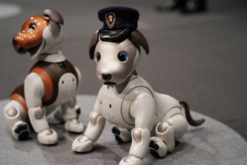 AIBO ERS-1000 チョコレートトライカラー 楽天市場】【ソニー】SONY アイボ aibo 犬 バーチャル ペット