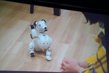 SONY  AIBO マスタースタジオ SONY AIBO マスタースタジオ - メルカリ