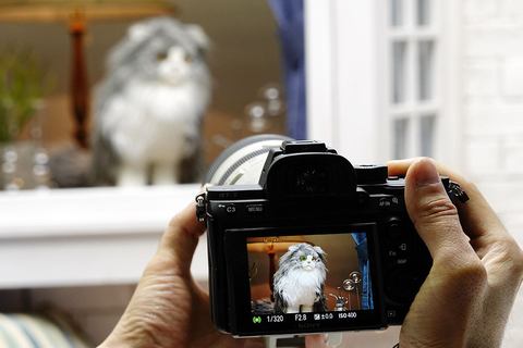 ソニー「α9」がAF強化、リアルタイム瞳AF対応。新スマホアプリ配信開始