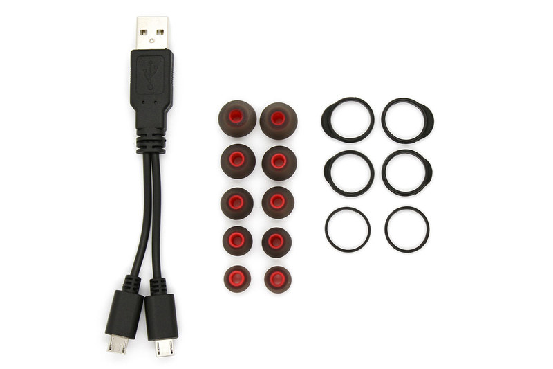 充電用の二股USBケーブル(USB A-micro USB×2)。シリコンイヤーピースなども付属する