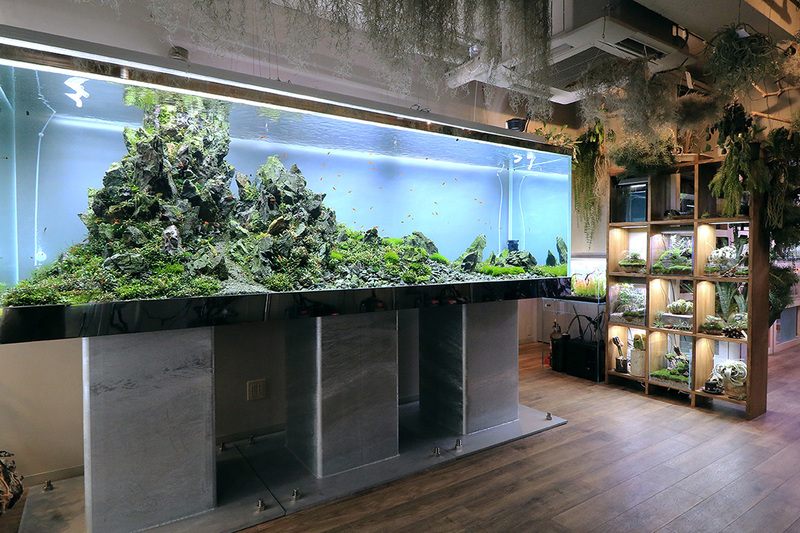 アクアリウム用品専門店「チャーム恵比寿店」