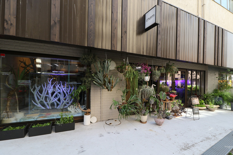 アクアリウム用品専門店「チャーム恵比寿店」