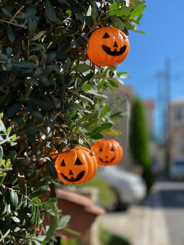 望遠カメラでポートレート撮影