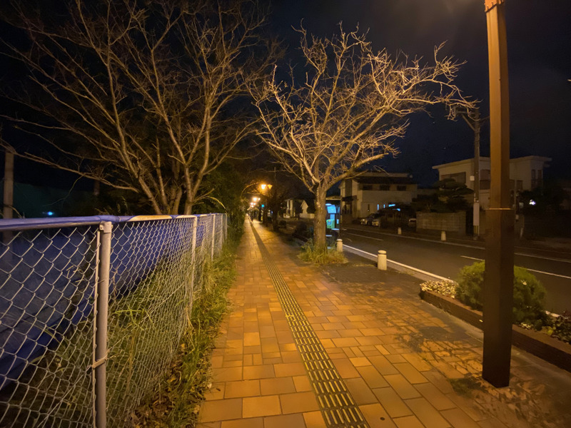 超広角で撮影した静止画