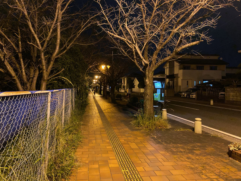 広角(ナイトモード)で撮影した静止画