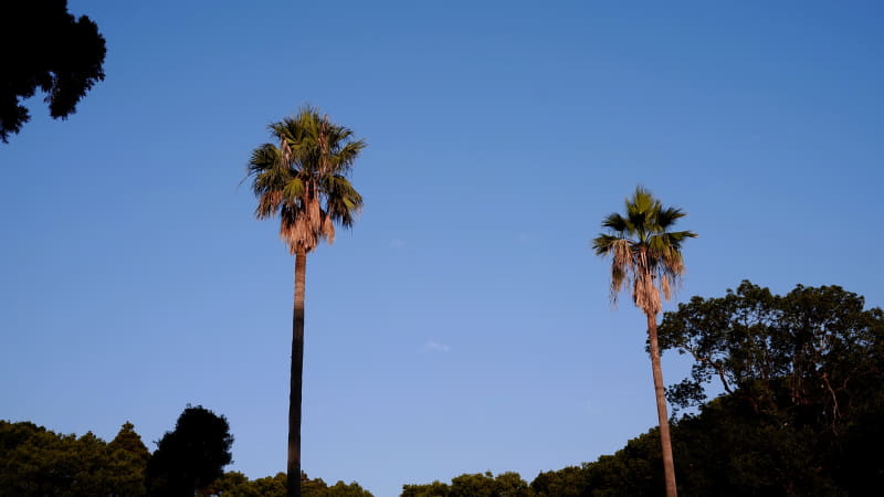 空の青をだすために-2ほど絞った