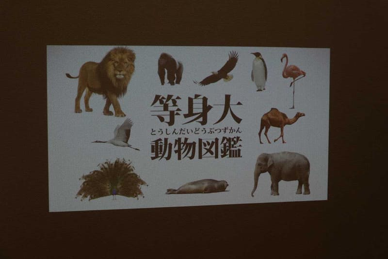 画面サイズを設定することで動物の大きさがわかる「等身大動物図鑑」