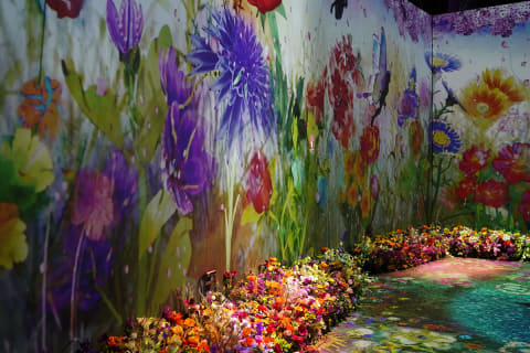 芸術写真 FLOWERS and TREES マイクロソフトの“AI DJ”が、来場者の感情に合わせ「花の宴ライブ」を