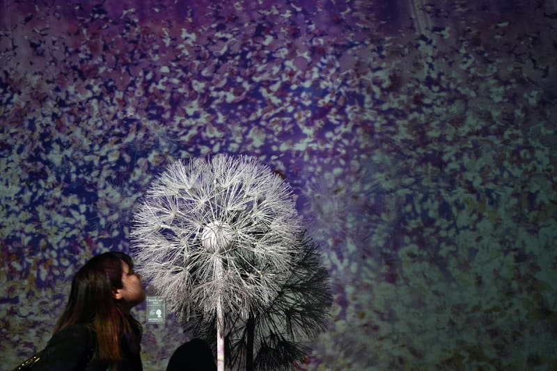 プロジェクションマッピングで綿毛が飛ぶ