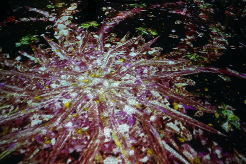 天井を透過したビジュアルは床にも投写される