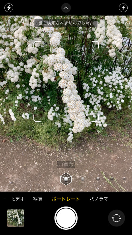 ポートレートモードは人間専用で、人がカメラの形の中にいないいと、アクティブにならない