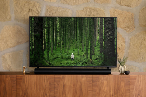 Sonos、ドライバー11基搭載“シネマ級サウンド”サウンドバー「Sonos Arc