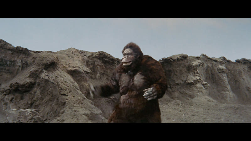 「キングコング対ゴジラ」で欠けていたシーンがコチラ。写真上と下が現存するコマ。東京現像所のレストアチームは、この間に存在したであろう12コマを作成。「12コマ(0.5秒)埋めるのは、弊社では新記録です」(清水氏)とのこと<br/><span class="fnt-70">「キングコング対ゴジラ」TM ＆ ©1962 TOHO CO., LTD.</span>