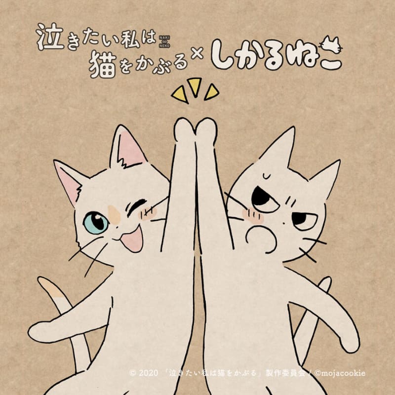 もじゃクッキー書き下ろしイラスト