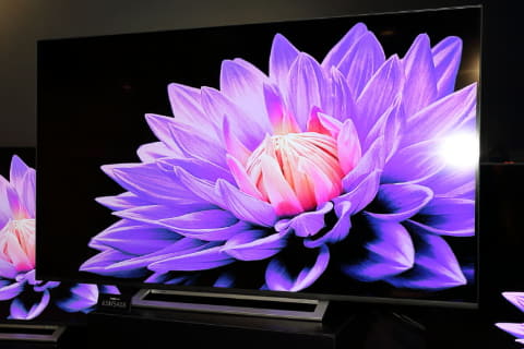 東芝4Kレグザ「Z740X/M540X」がクラウドAI高画質対応。放送番組がより