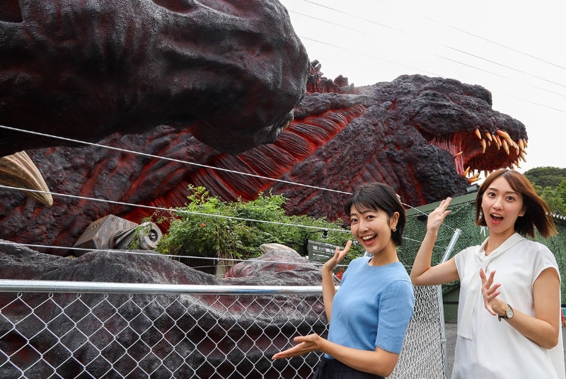 TM & (C) TOHO CO., LTD.