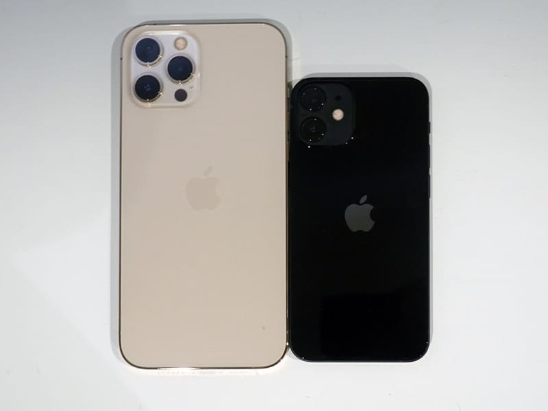 おまけに。miniとPro Maxを比べるとこれだけサイズが違う。だが、性能は基本的に同じだ