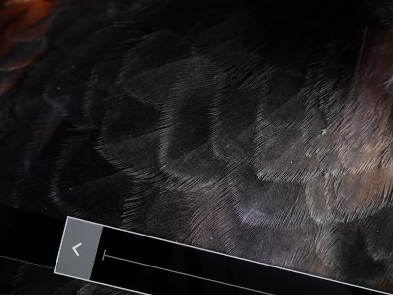 シャープネス“0”の場合。ディテールが甘く見えがちだが、調整としてベストと言える場合も多い