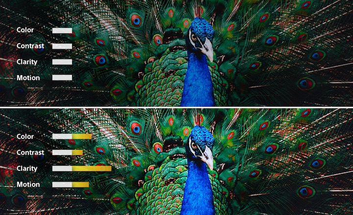 XRプロセッサの最適処理により、自然で現実世界のような映像を作り出す