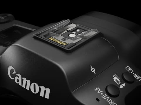 キヤノン、6K60p RAW記録の視線入力ミラーレス「EOS R3」74.8万円 - AV