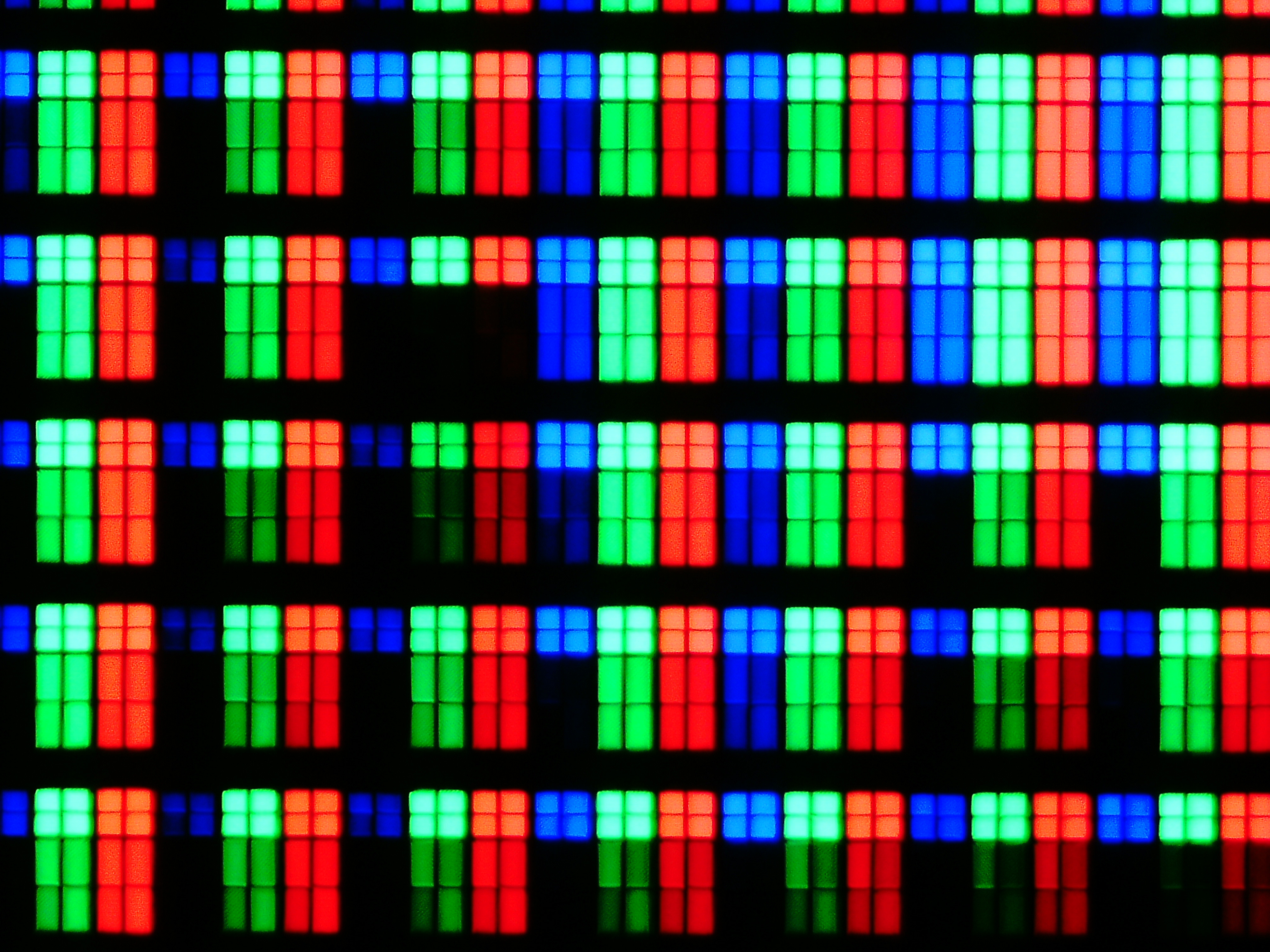 光学300倍の拡大顕微鏡写真