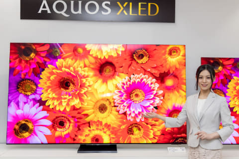 シャープ、ミニLED採用「AQUOS XLED」購入で最大5万円キャッシュバック