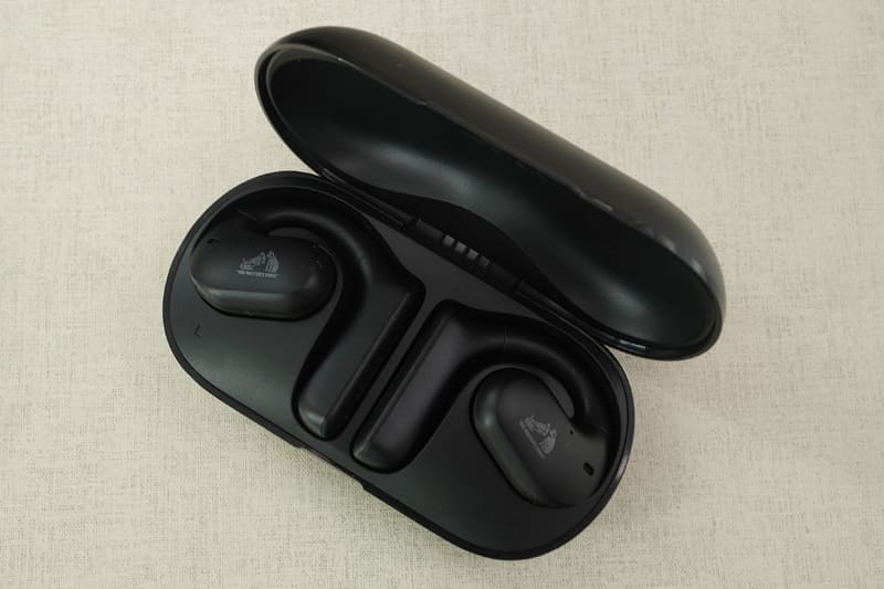 ケースに収納したところ