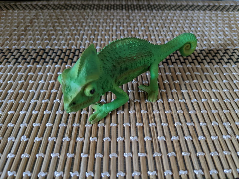 敷物で試してみた