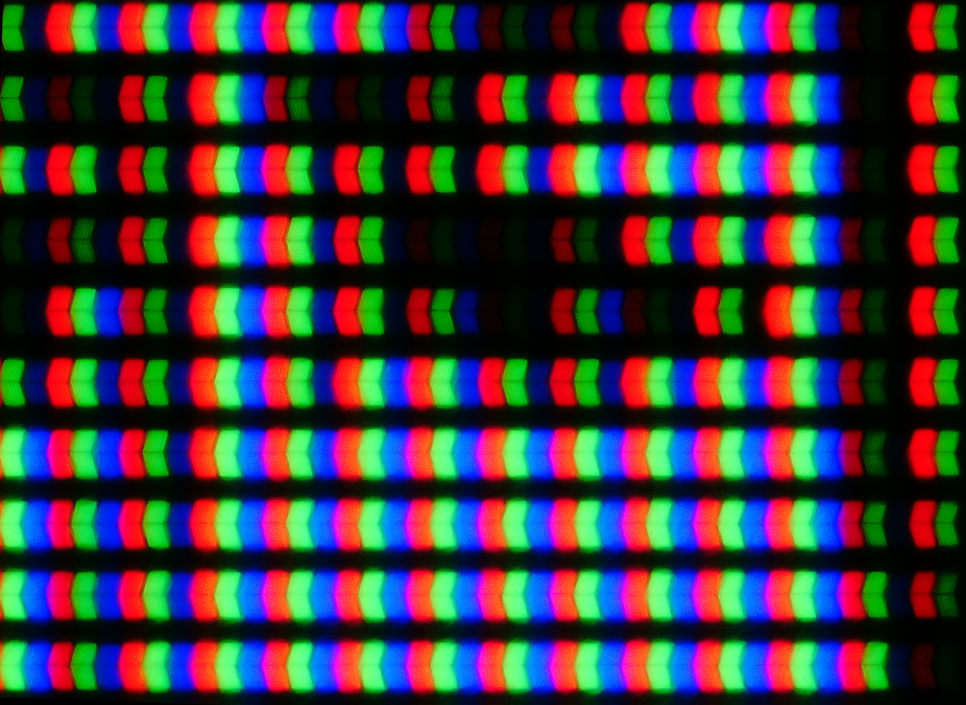 光学300倍の顕微鏡写真